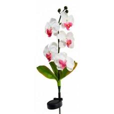 Цветок Орхидея PL301 06258